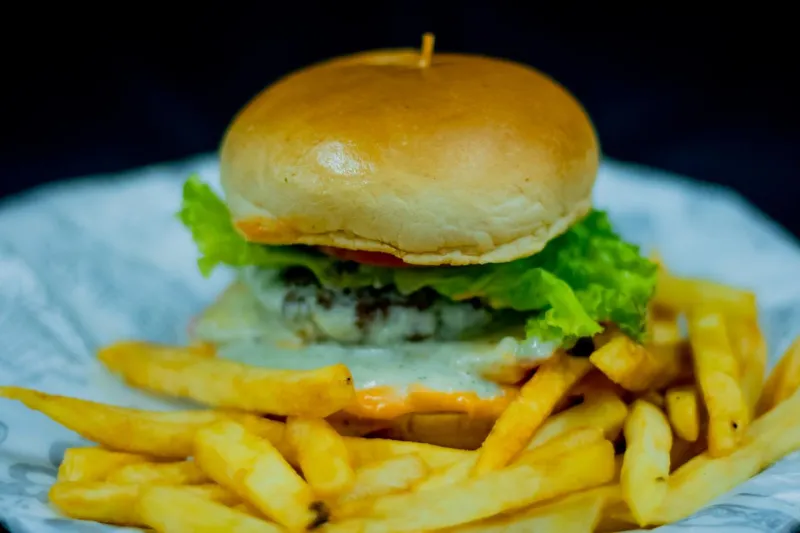 HAMBURGUER ARTESANAL